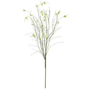 GRASS/BERRY SPRAY